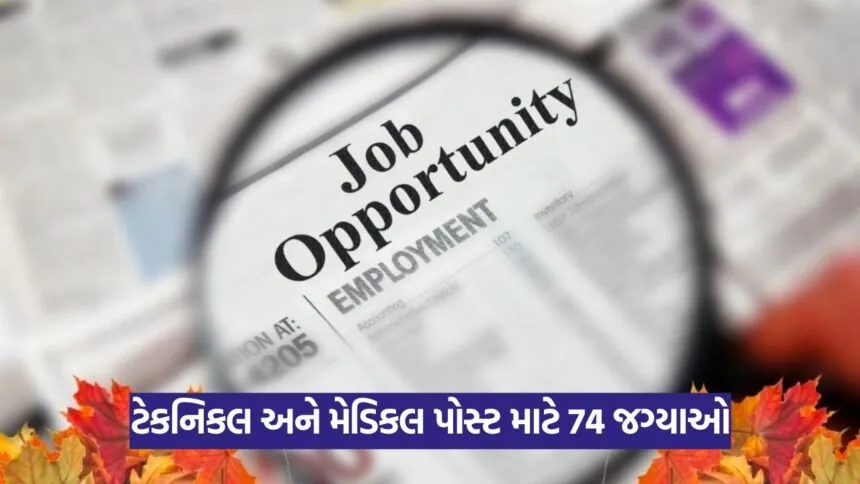 Job 2025