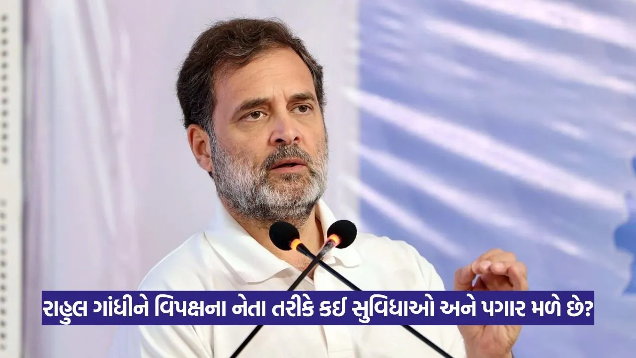 Rahul Gandhi: વિપક્ષી નેતા રાહુલ ગાંધીનું જીવન: પગાર, શિક્ષણ અને મિલકતની વિગતો 1 Rahul Gandhi