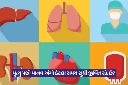 Health Tips