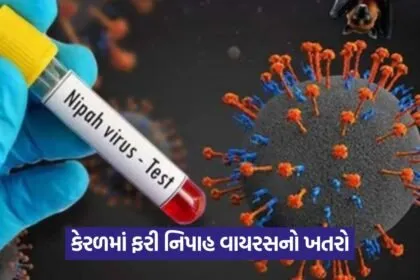 Nipah Virus