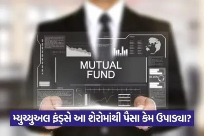 Mutual Fund