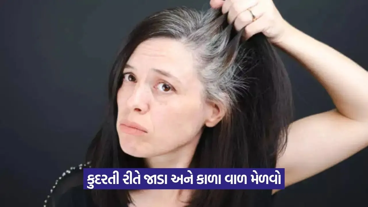 Hair Care: કાળા વાળનું રહસ્ય તમારા રસોડામાં છુપાયેલું છે - જાણો આ 6 અદ્ભુત ટિપ્સ 22 Hair Care