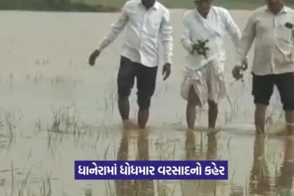 Rain Damage in Dhanera