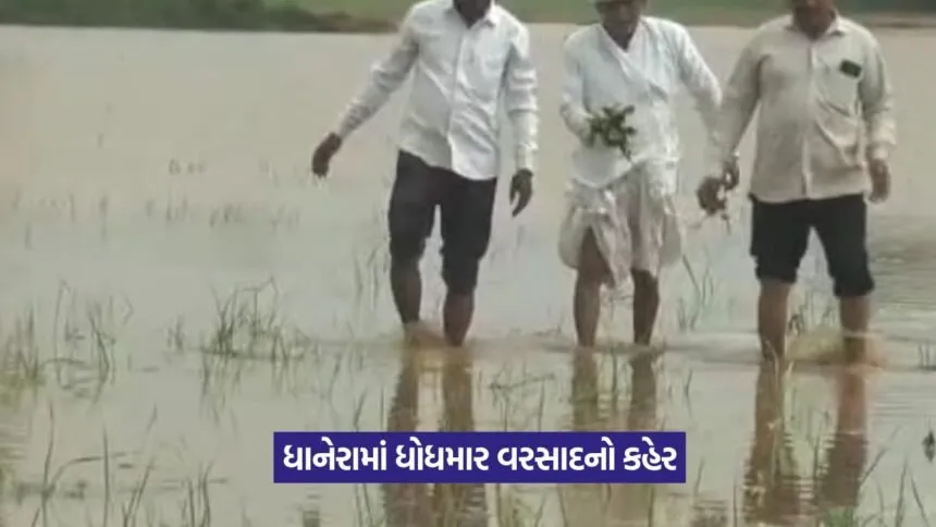 Rain Damage in Dhanera