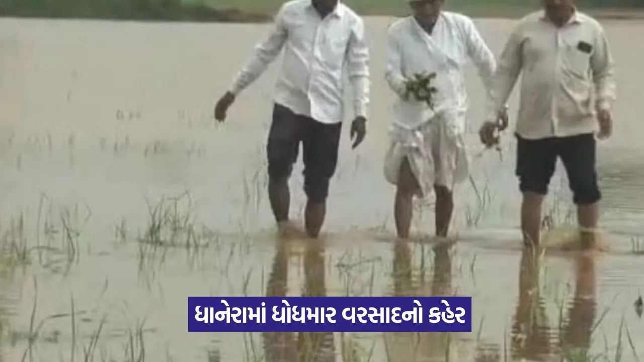 Rain Damage in Dhanera.jpg