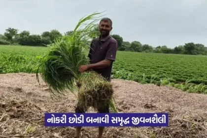 Natural farming success story in Gujarat