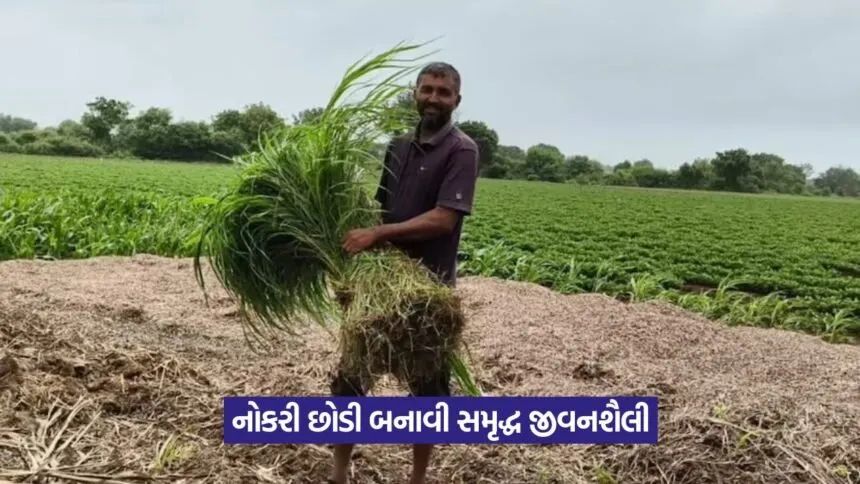 Natural farming success story in Gujarat