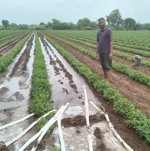 ખેડૂત ભરતભાઈ હડિયા: નોકરી છોડીને કુદરતી ખેતી દ્વારા આર્થિક વિકાસની અનોખી યાત્રા 2 Natural farming success story in Gujarat 2.png