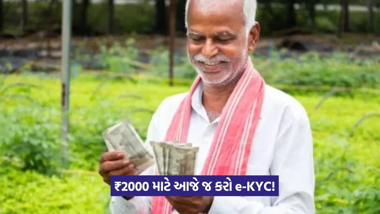 PM Kisan Yojana 9.jpg