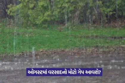 Rain Forecast