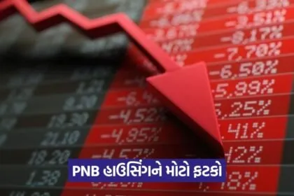 pnb shares