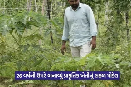 Natural farming success story Gujarat