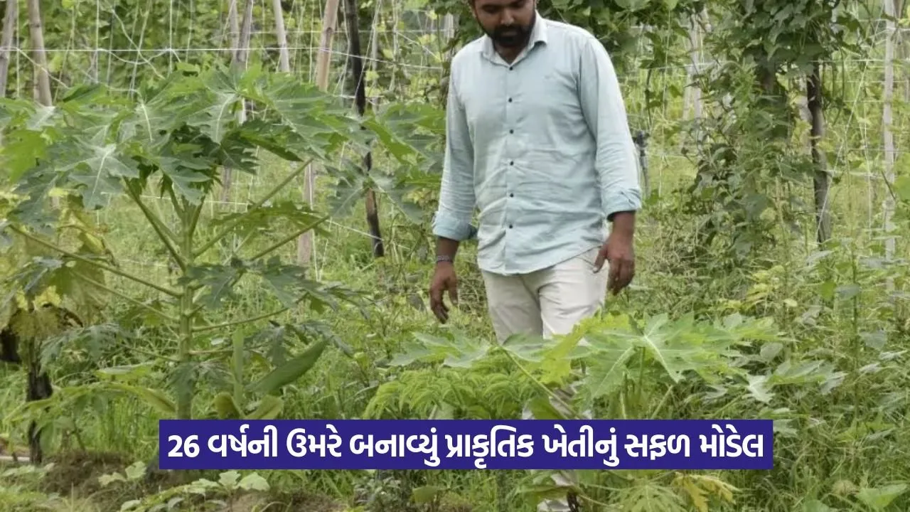 Natural farming success story Gujarat.jpg