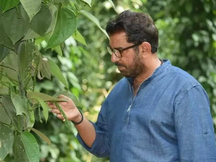 White Musli farming success story 1.png
