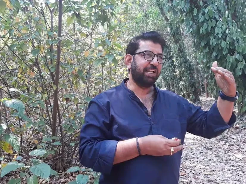 White Musli farming success story 2.png