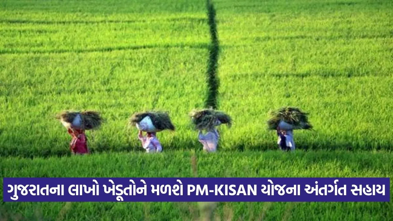 KISAN 0108 1.jpg