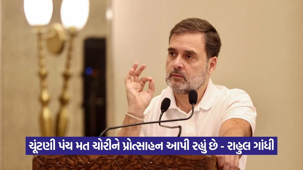 Rahul Gandhi 0208.jpg
