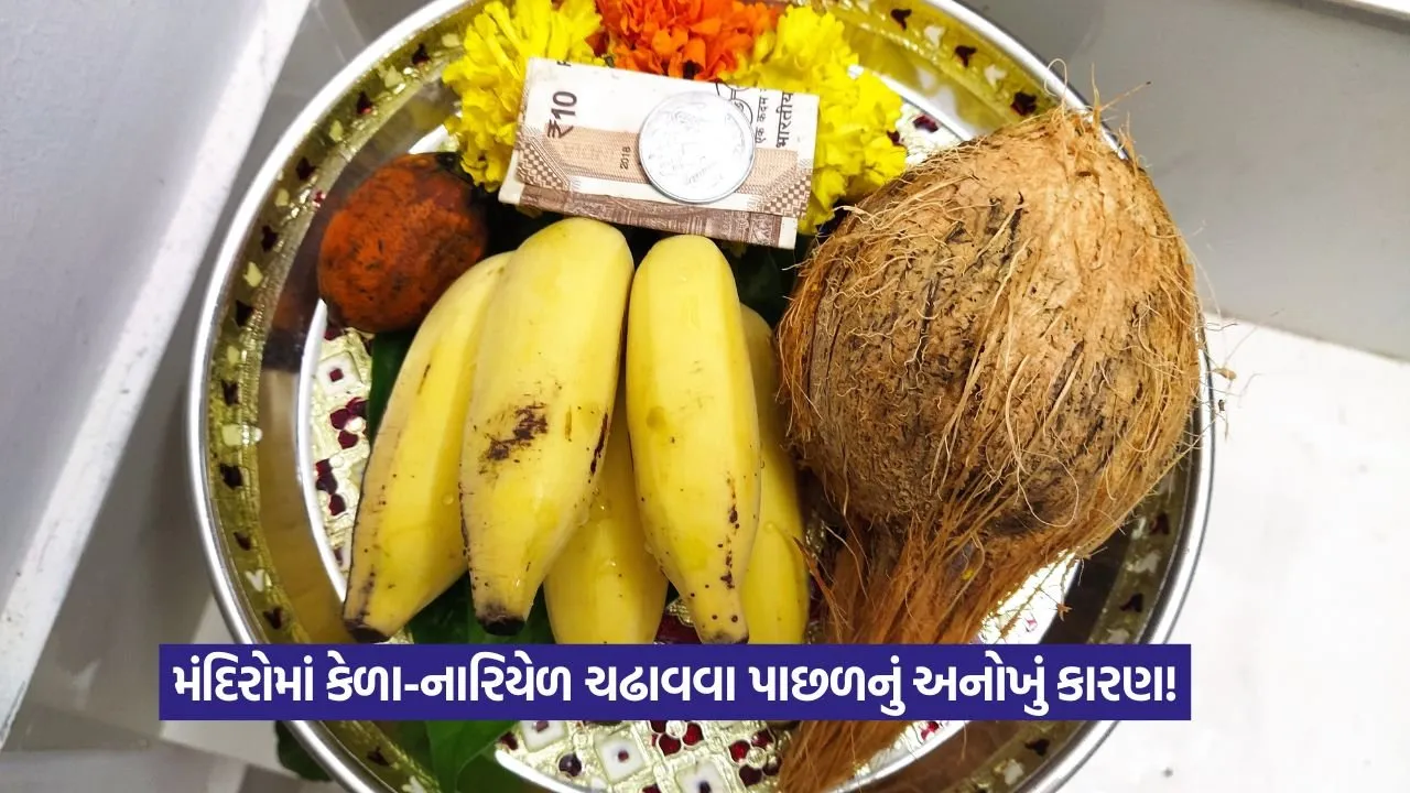 ભગવાનને ફક્ત કેળા અને નારિયેળ જ કેમ ચઢાવવામાં આવે છે? જાણો તેના આધ્યાત્મિક રહસ્યો 22 puja.jpg