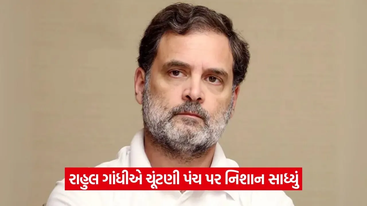 હું રાજાશાહી વિચારસરણીનો કટ્ટર વિરોધી છું - રાહુલ ગાંધી 1 Rahul Gandhi 0208 1.jpg