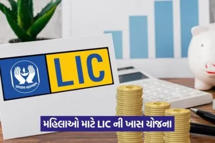 lic 8