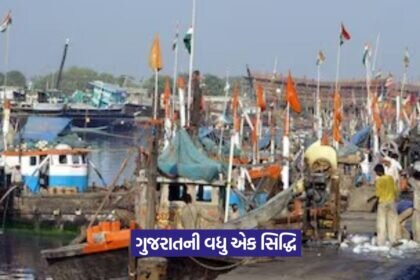 Gujarat fish production second highest in India 1