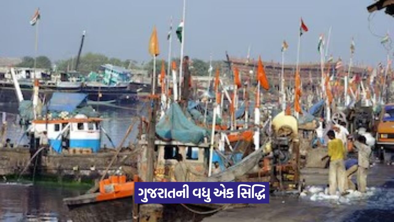 Gujarat fish production second highest in India 1.jpeg