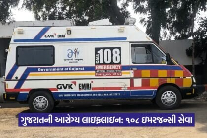 108 Emergency Service in Gujarat 2