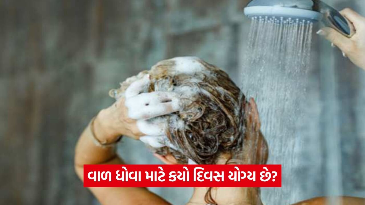 વાળ ધોવા માટે આ છે યોગ્ય દિવસ! જાણો કયા દિવસે વાળ ધોવા શુભ 47 Hair wash 0308.jpg
