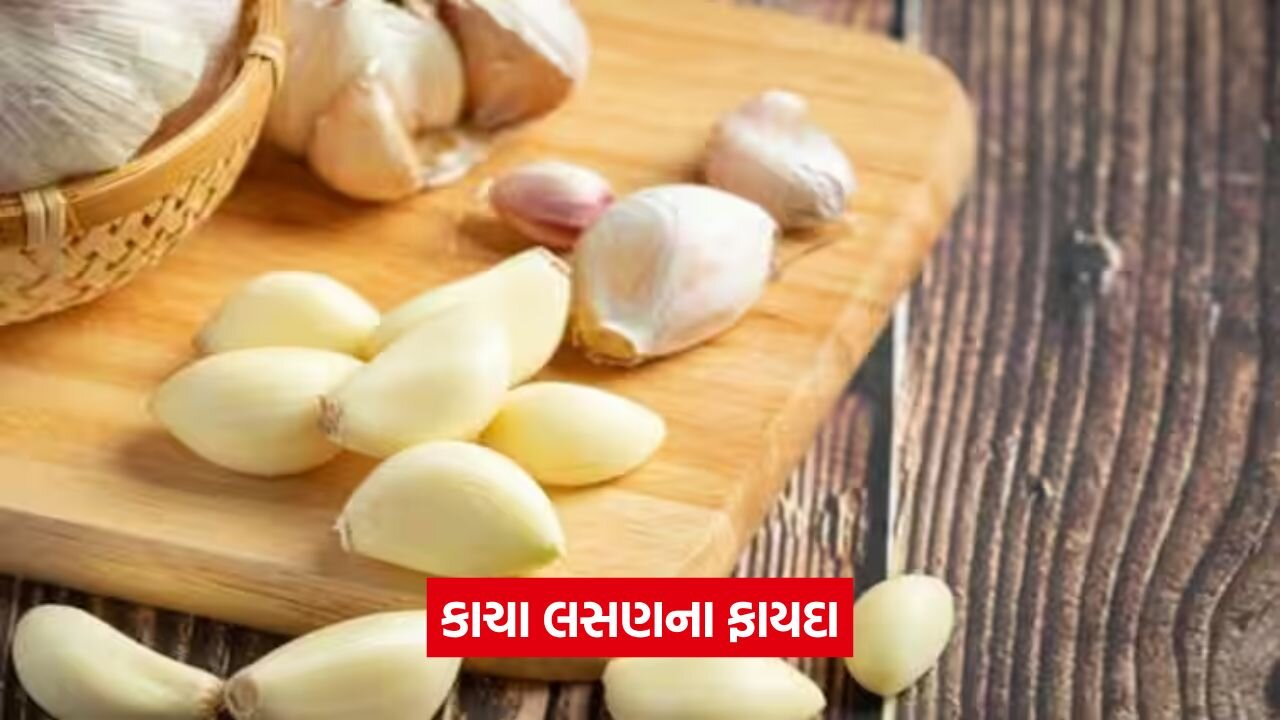 Garlic 0308.jpg