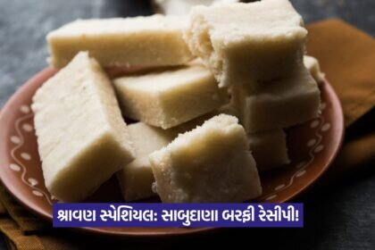 barfi 1