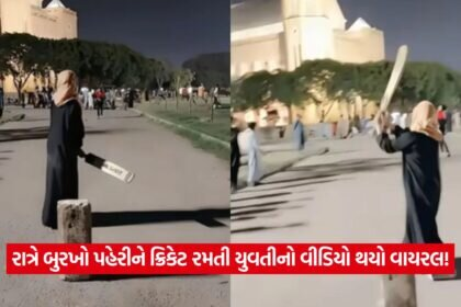 video4