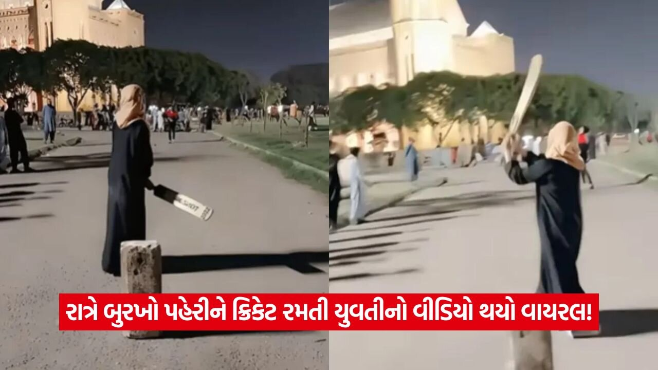 video4.jpg