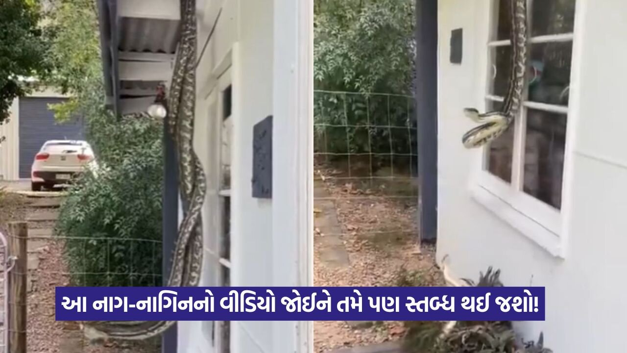 video 1.jpg