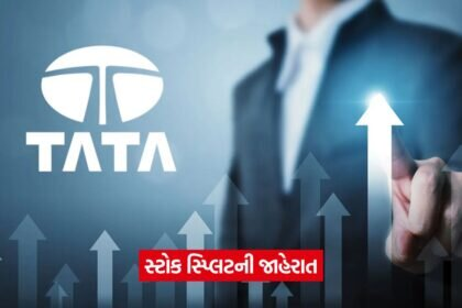 tata 542
