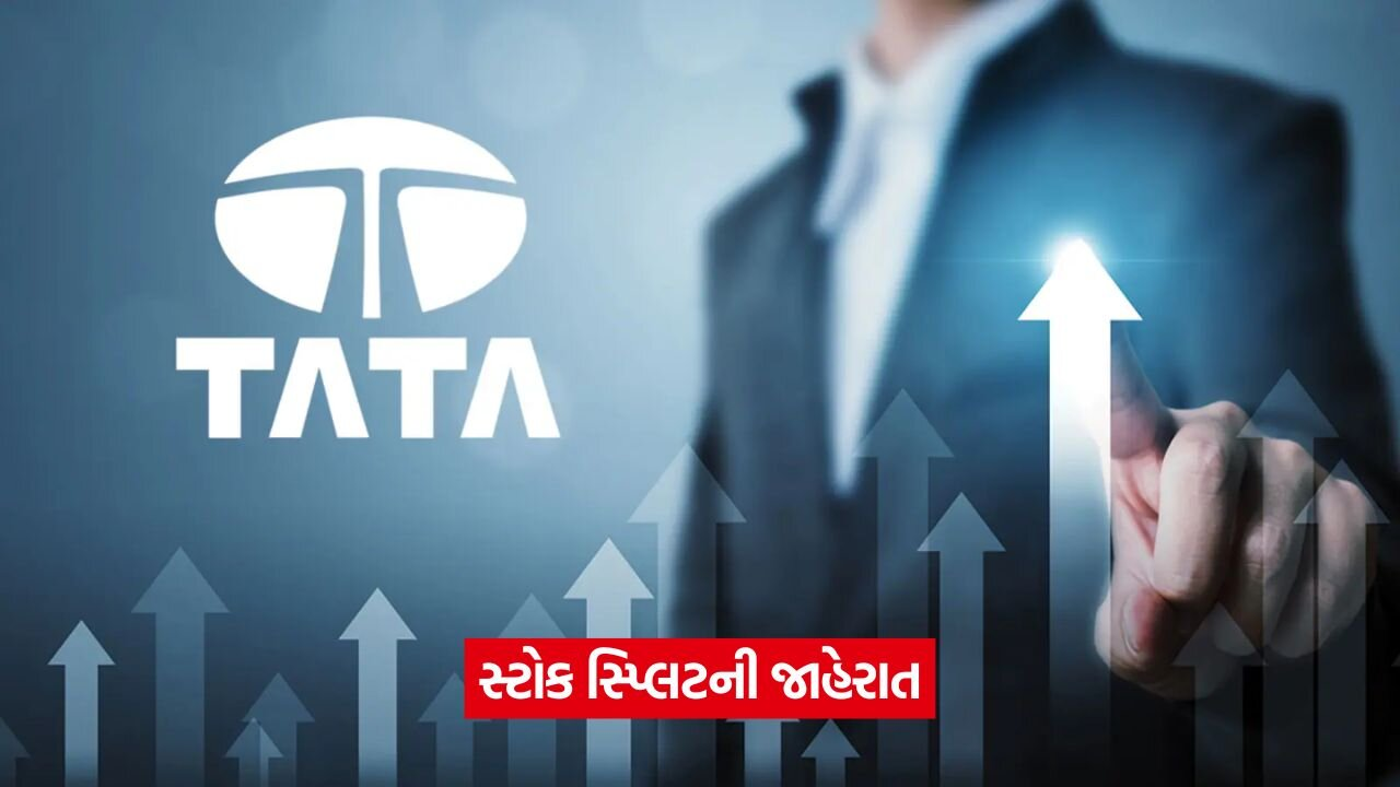 tata 542.jpg