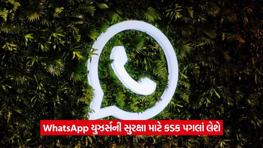 whatsapp 44354