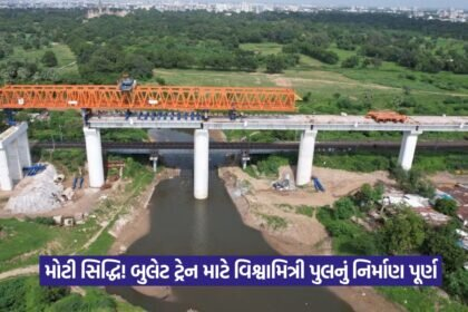 Bullet Train Bridge Construction