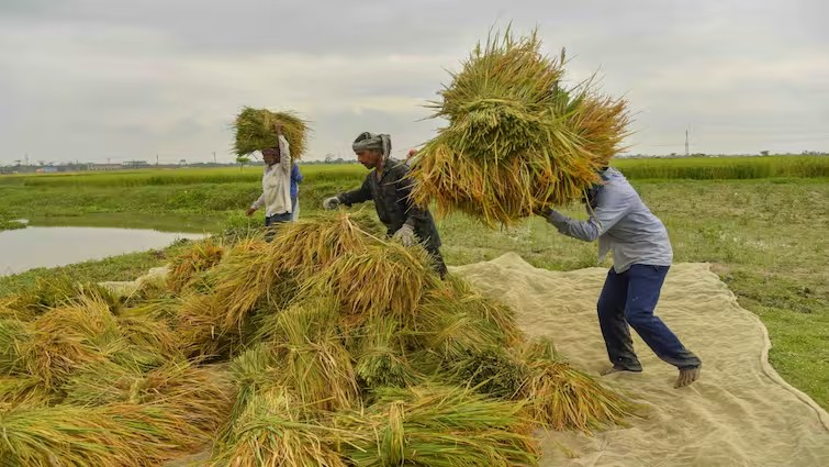 Gujarat farmers electricity and irrigation relief 1.png