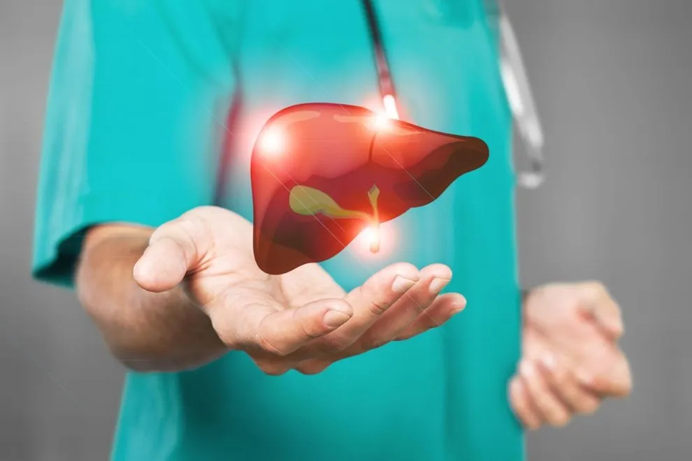 liver 14.jpg