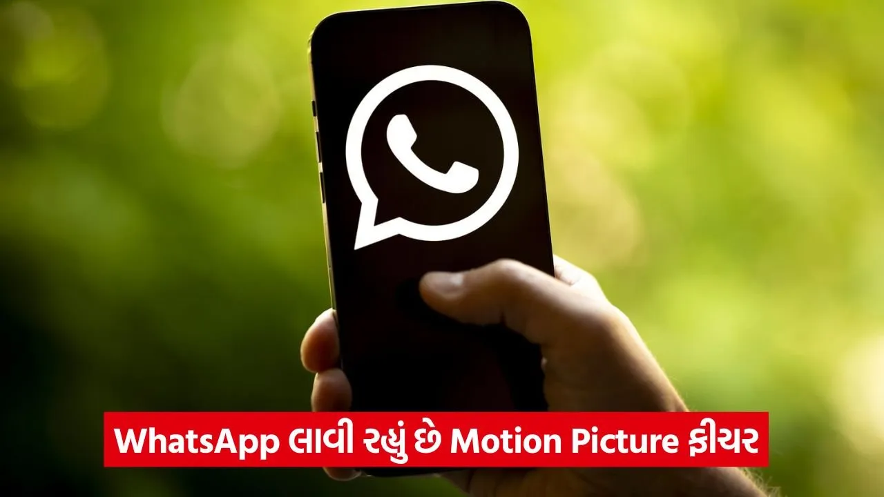 WhatsApp 5343.jpg