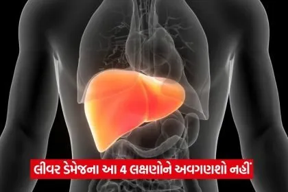 liver 325