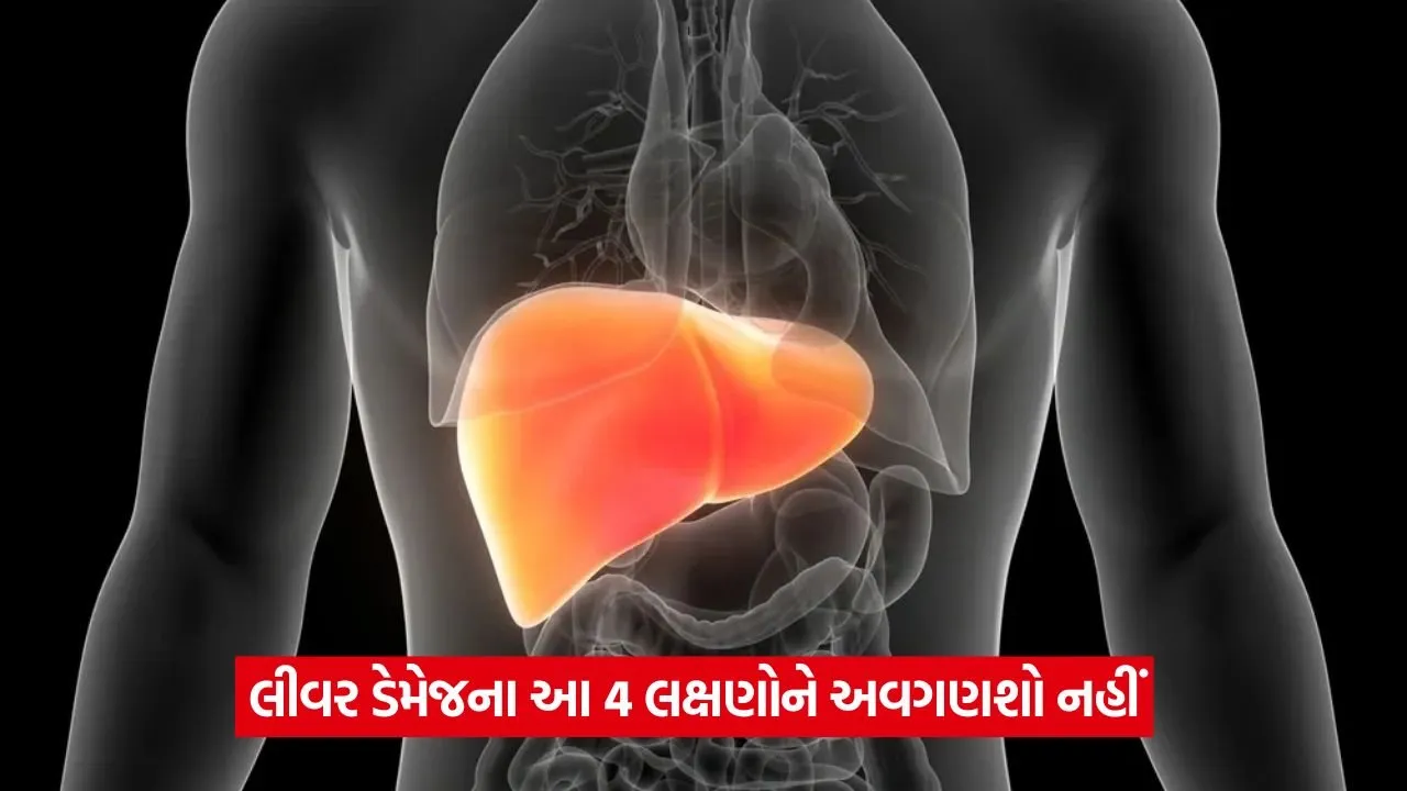 liver 325.jpg