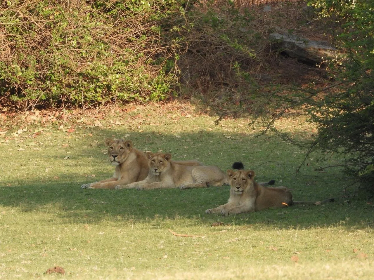 WhatsApp Image 2025 08 08 at 2.24.59 PM