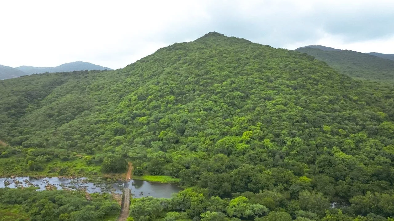 WhatsApp Image 2025 08 08 at 2.25.00 PM 1