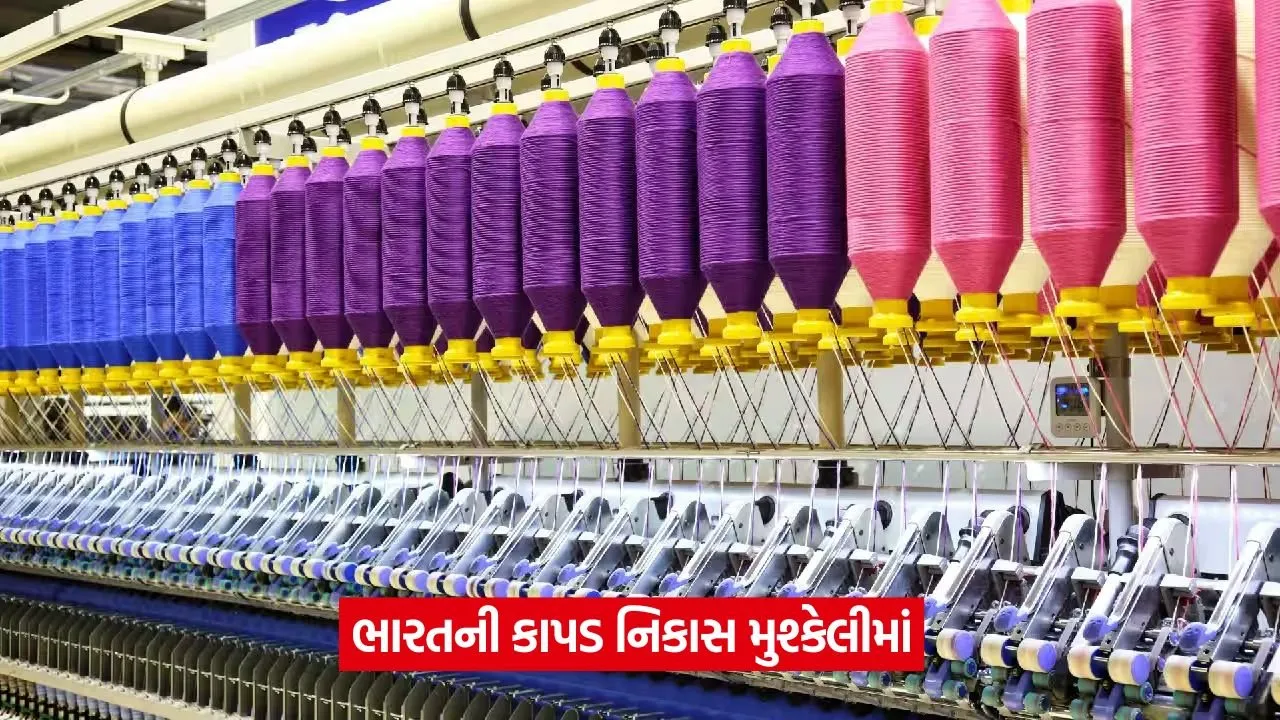 textile 34.jpg