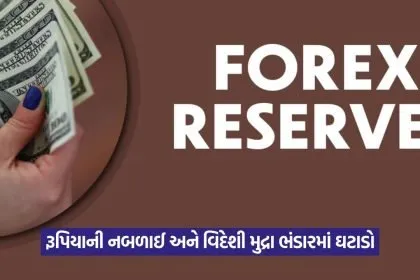forex 24