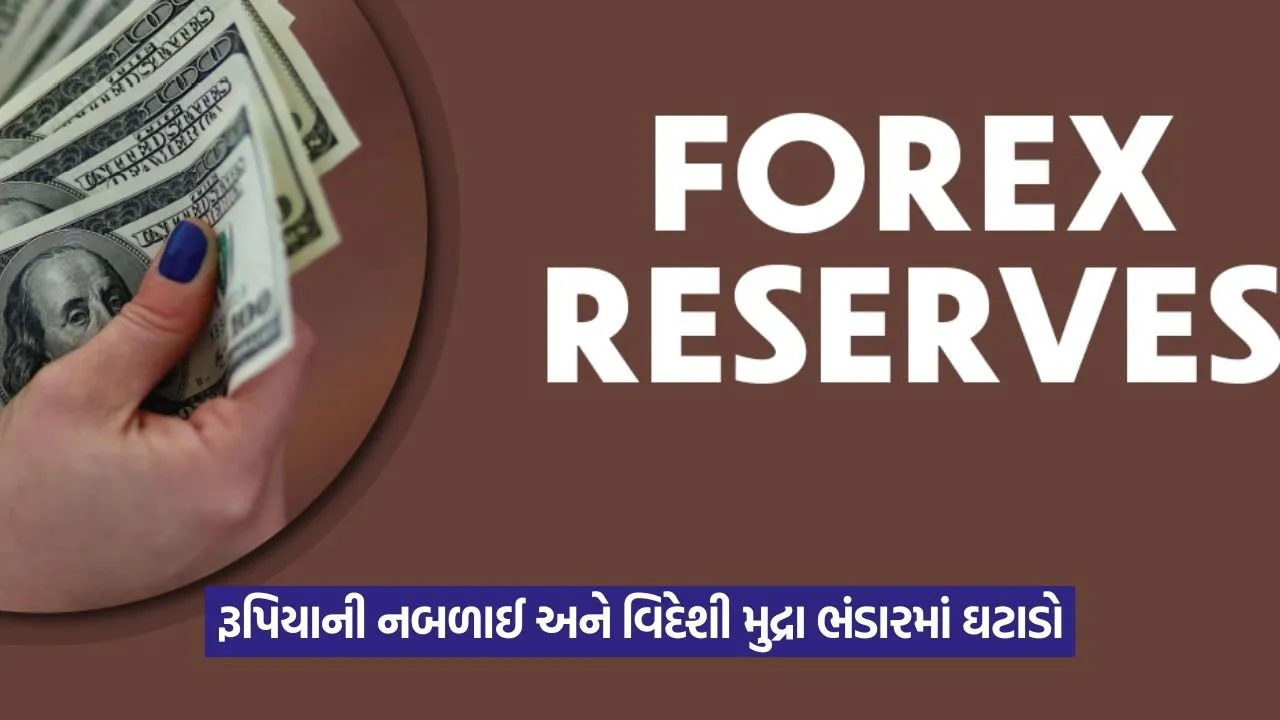 forex 24.jpg