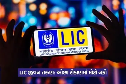 lic 5346