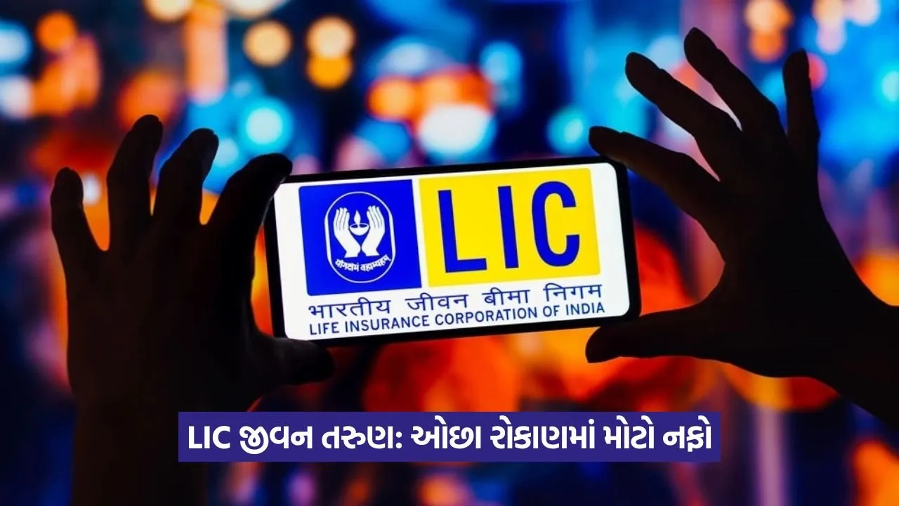 lic 5346.jpg