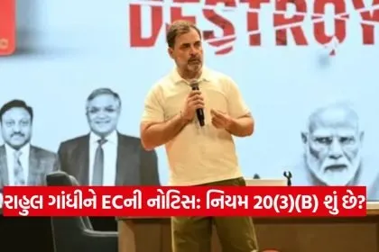 Rahul Gandhi 0808